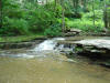 Small falls at McCormick's Creek SP